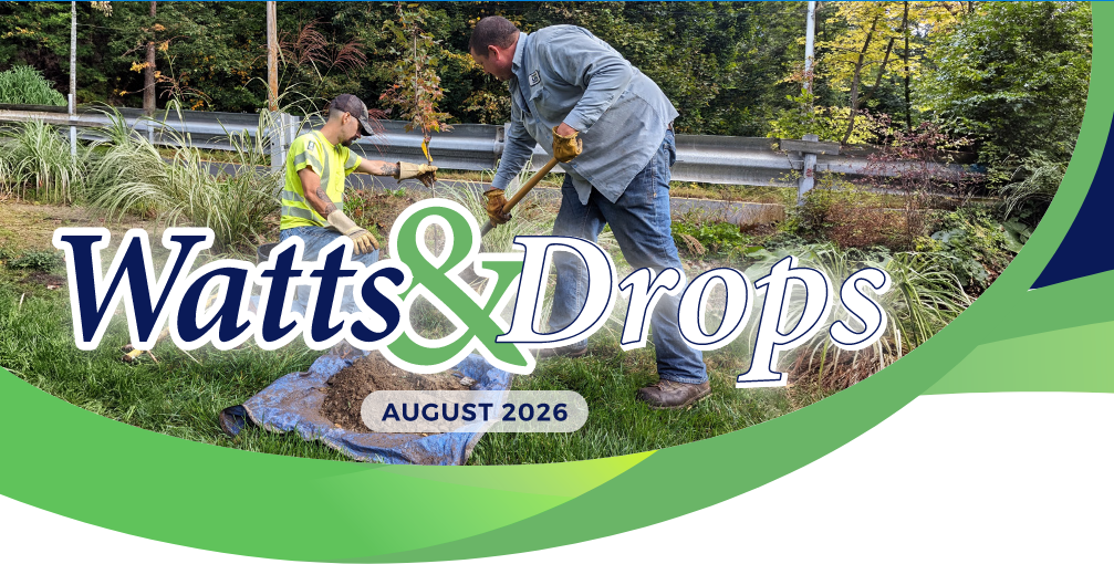 Cover photo of Watts & Drops newsletter of two men planting a tree.